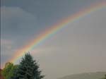 RZ_117-1750_IMG
