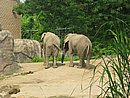 IMG_0942.JPG