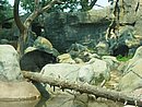 IMG_0943.JPG
