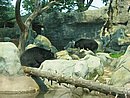 IMG_0944.JPG