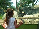 IMG_0945.JPG