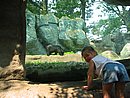 IMG_0946.JPG