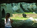 IMG_0947.JPG