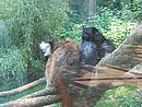 IMG_0951.JPG
