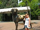 IMG_0953.JPG